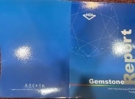 report cover